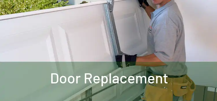  Door Replacement 