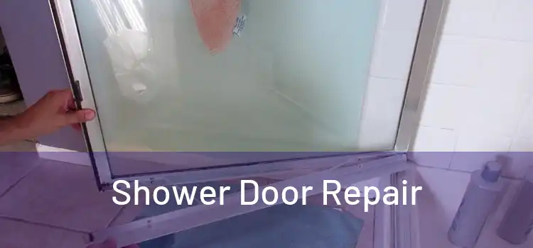  Shower Door Repair 